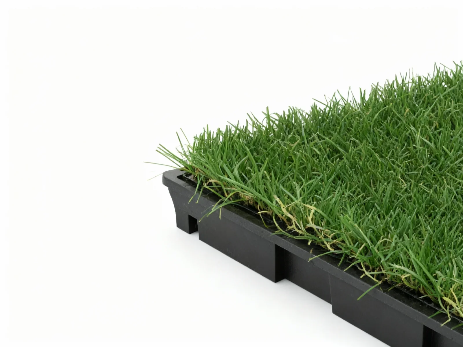 Multi-Colors 20 mm Artificial Grass Tiles - 30x30 cm (Pack of 12) - Image 9