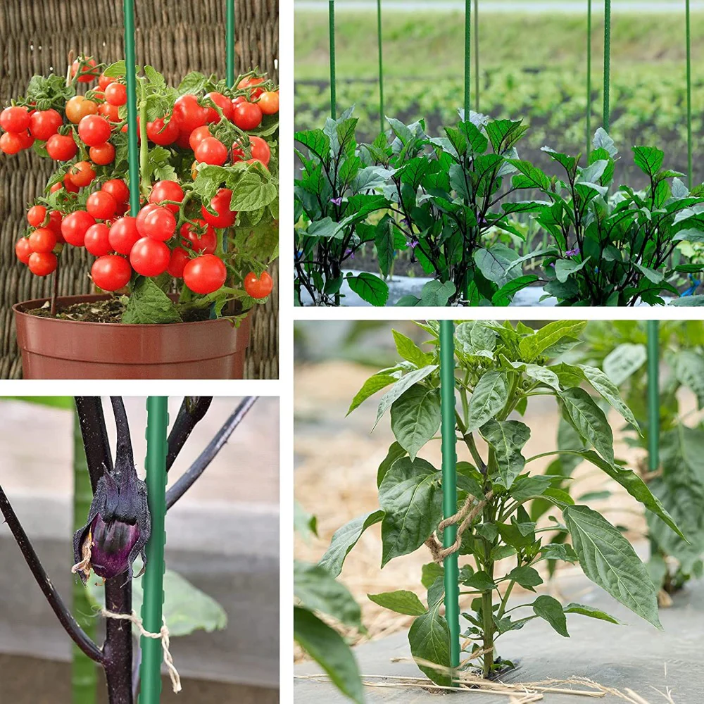 DS BS 10pcs 16mm×60CM Plastic Coated Metal Garden Stakes - Image 5