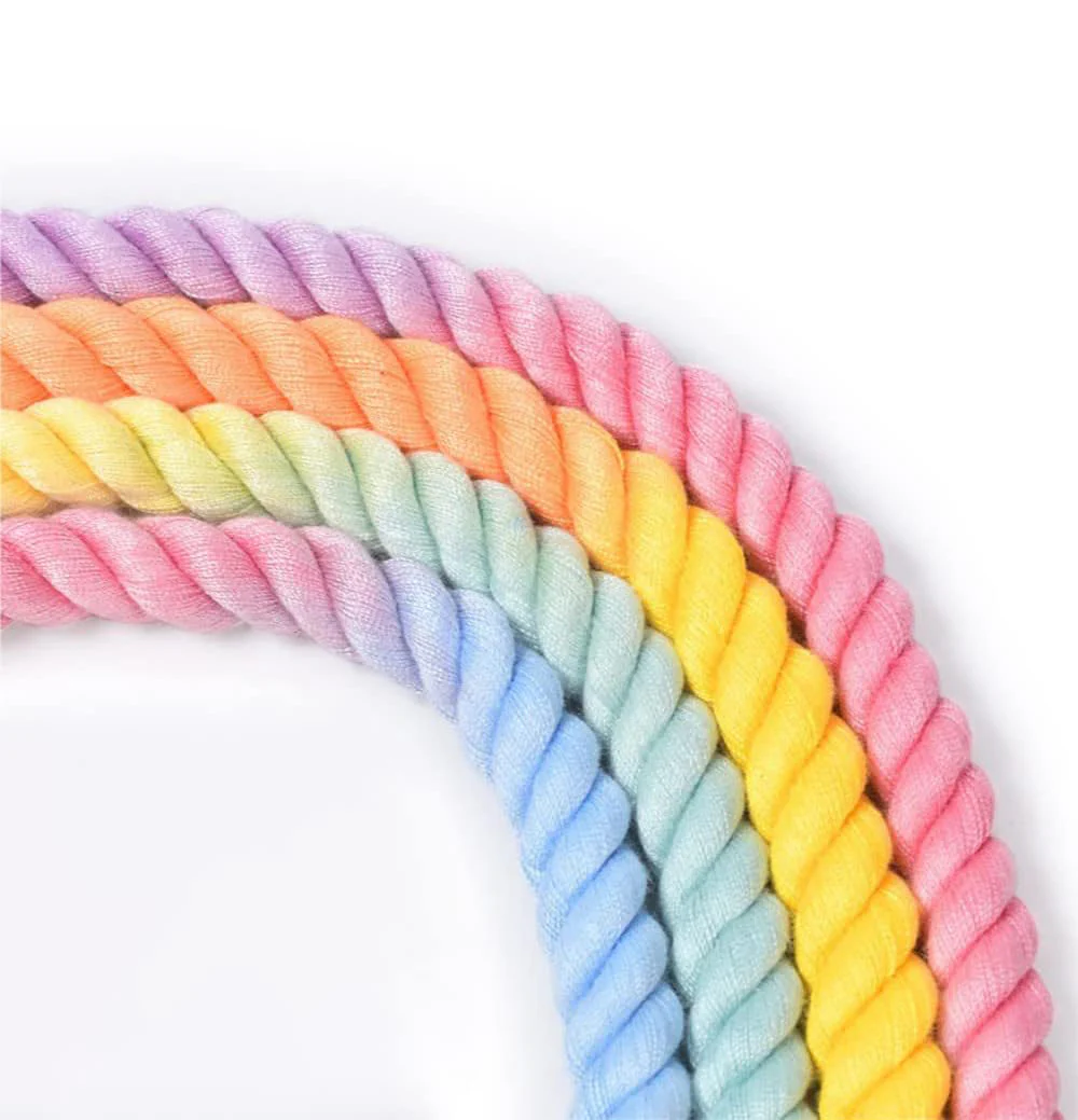 DS BS 120CM Soft Braided Colourful Dog Leash-Rainbow - Image 2