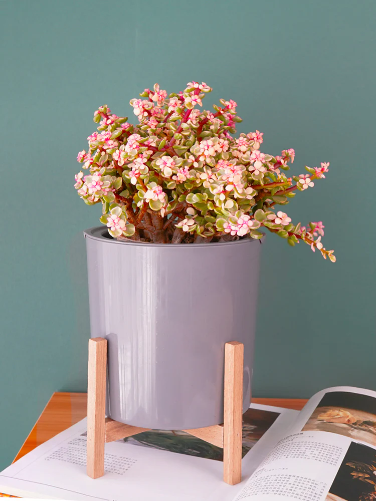 DS BS 3 Size Plant Pot Stand with Wood Rack - Image 2