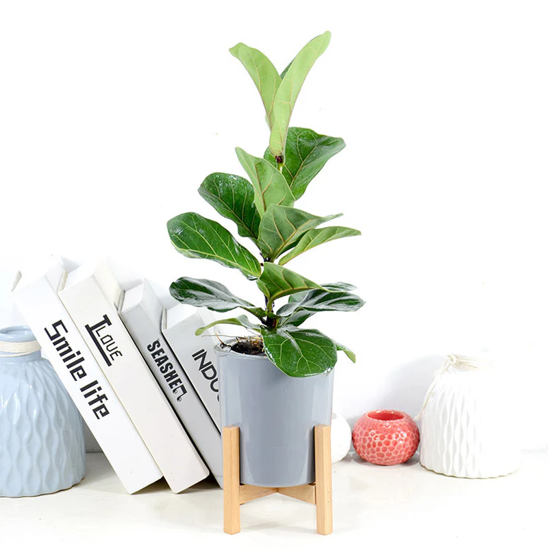 DS BS 3 Size Plant Pot Stand with Wood Rack - Image 4