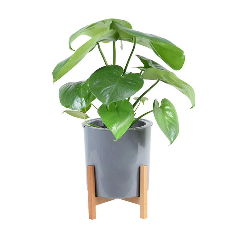 DS BS 3 Size Plant Pot Stand with Wood Rack - Image 6