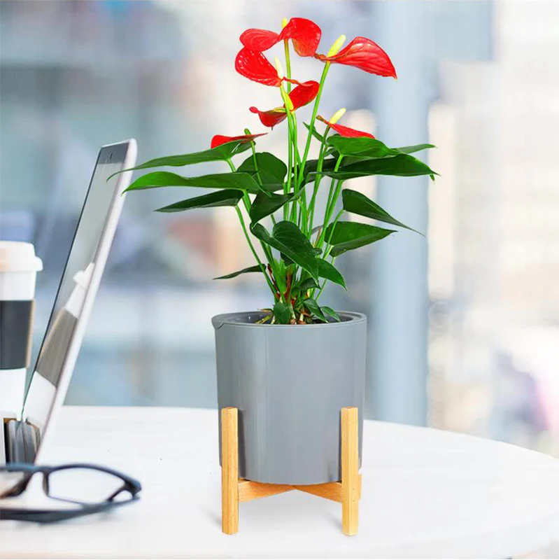 DS BS 3 Size Plant Pot Stand with Wood Rack - Image 8