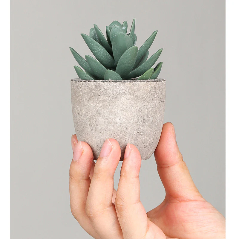 DS BS 6PCS Artificial Potted Succulent Plants - Image 9