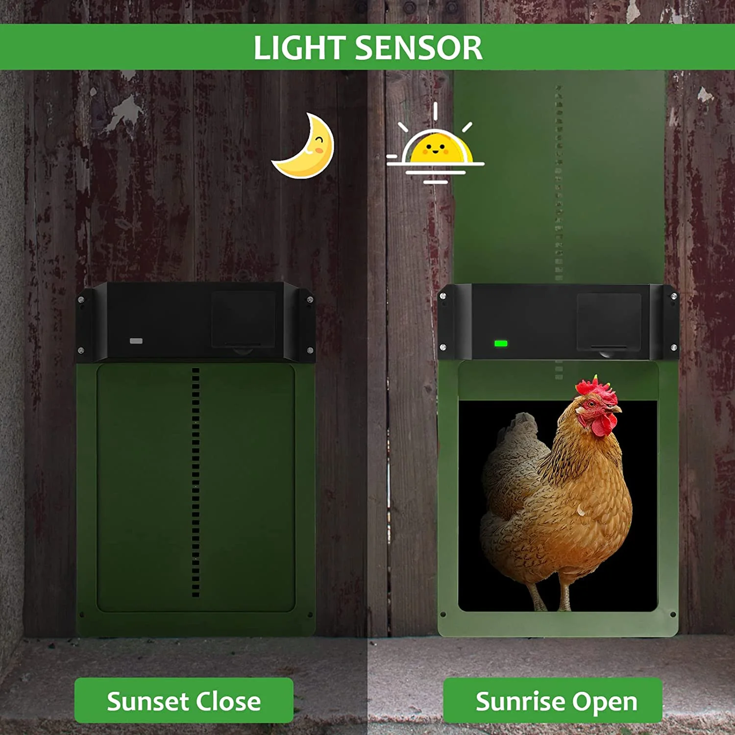 DS BS Automatic Chicken Coop Door Chicken Door Opener - Image 2