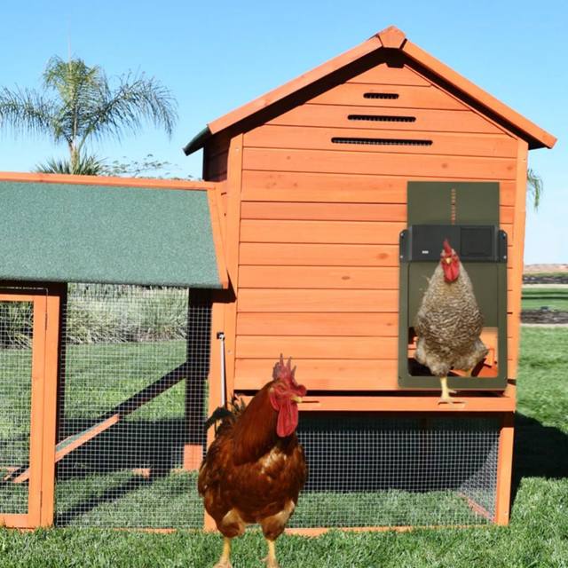 DS BS Automatic Chicken Coop Door Chicken Door Opener - Image 4