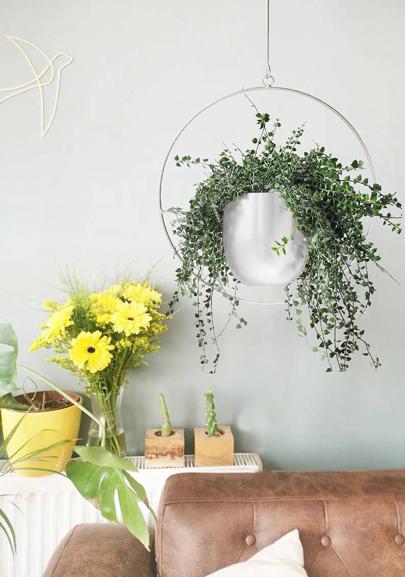 DS BS Minimalist Metal Plant Hanger Round Shape-White - Image 2
