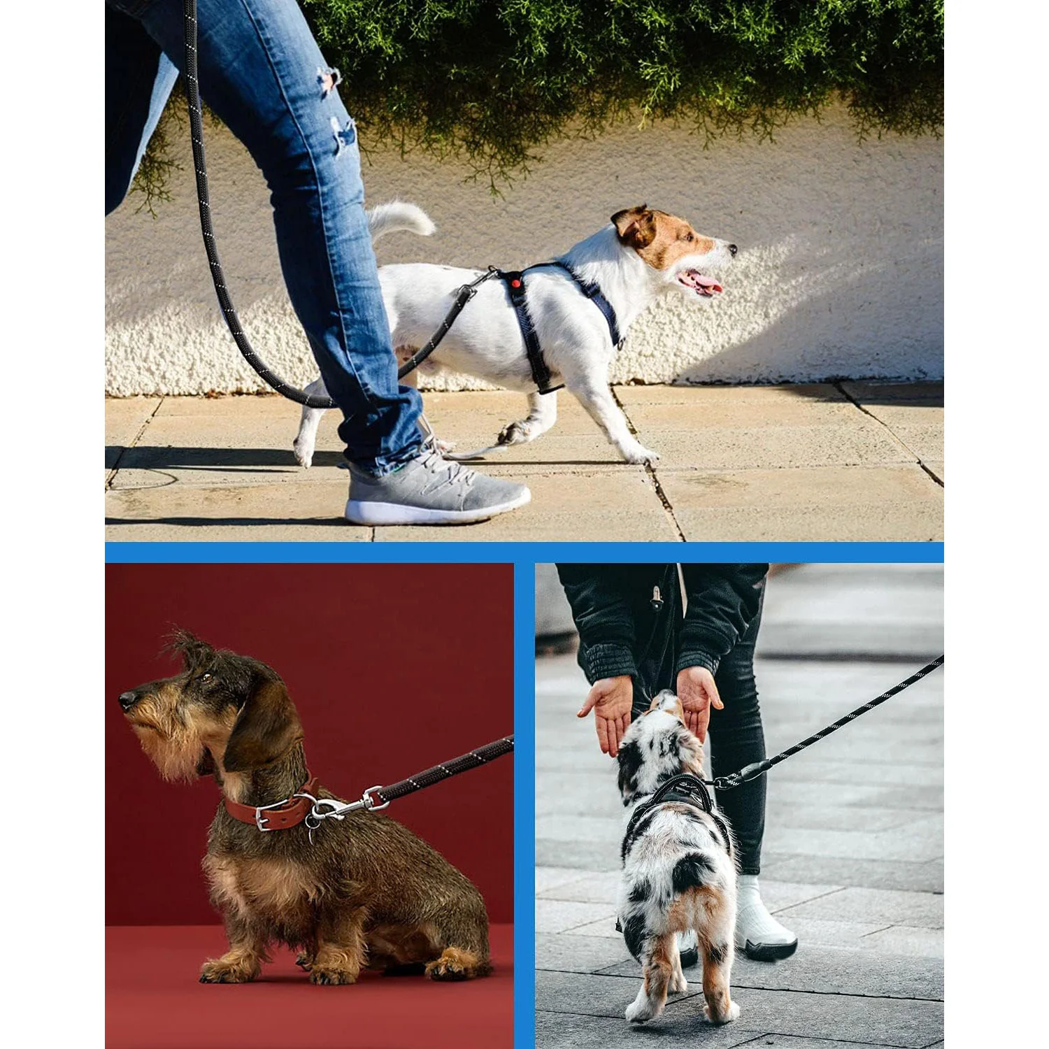 DS BS Reflective Rope Dog Leash 150cm-Gray - Image 5
