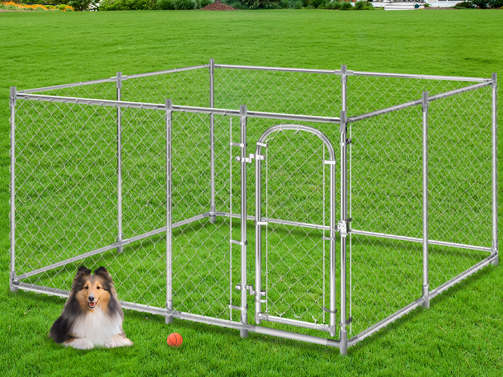 Dog Run - 4m x 4m x 1.8m - Image 3